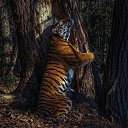 ���� �����, ������������, 24 ���� - ��������� 6 ������ 2025 � ������ ���� ����������