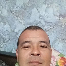 , 33,  