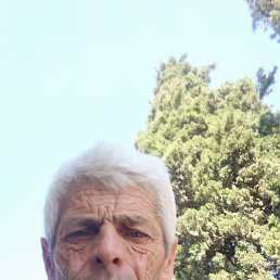 , 55, 