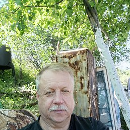 , 55, 