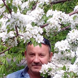 , 54, 