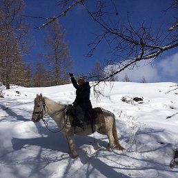 �����, �����������