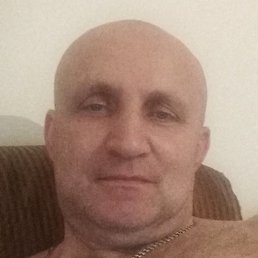 �������, �������, 46 ���