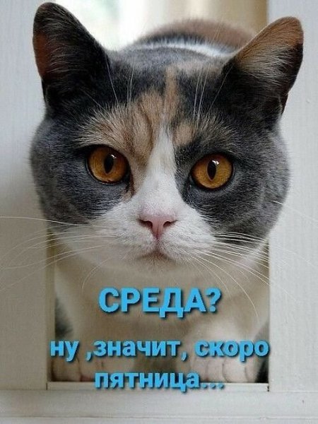   ! - 9  2025  15:34