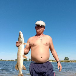 ����, ������, 38 ���