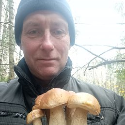 ���� ������, �������, 50 ��� - ��������� 3 ���� 2024