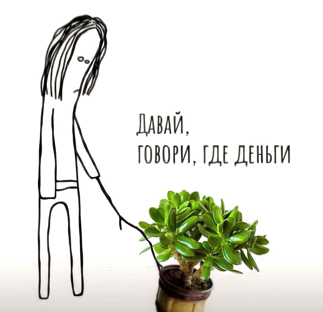 ���� ��� ���� - 7 ������� 2025 � 11:33