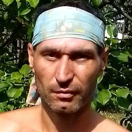 �����, �����������, 42 ����