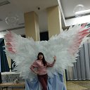 ���� ������, ����, 54 ���� - ��������� 9 ������ 2026 � ������ ���� ����������