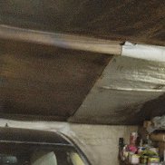 ���������, 43 ����, �����