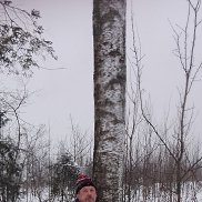 �������, 61 ���, ������