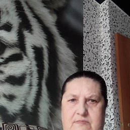 ���� ����, �����, 70 ��� - ��������� 7 ������ 2026