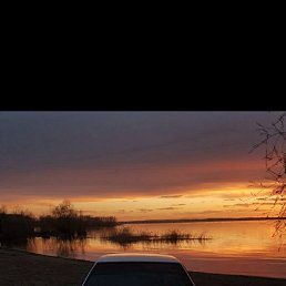 ���� �����, ���������, 43 ���� - ��������� 3 ������ 2026