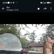 ������, 40 ���, ������