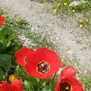 ���� ������, ���������, 57 ��� - ��������� 16 ������ 2025 � ������ ���� ����������