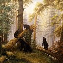 ���� Lev, �����, 45 ��� - ��������� 18 ������� 2025 � ������ ���� ����������