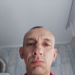 , 53 , 