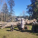 ���� Vika, ������, 62 ���� - ��������� 29 ������ 2026 � ������ ���� ����������