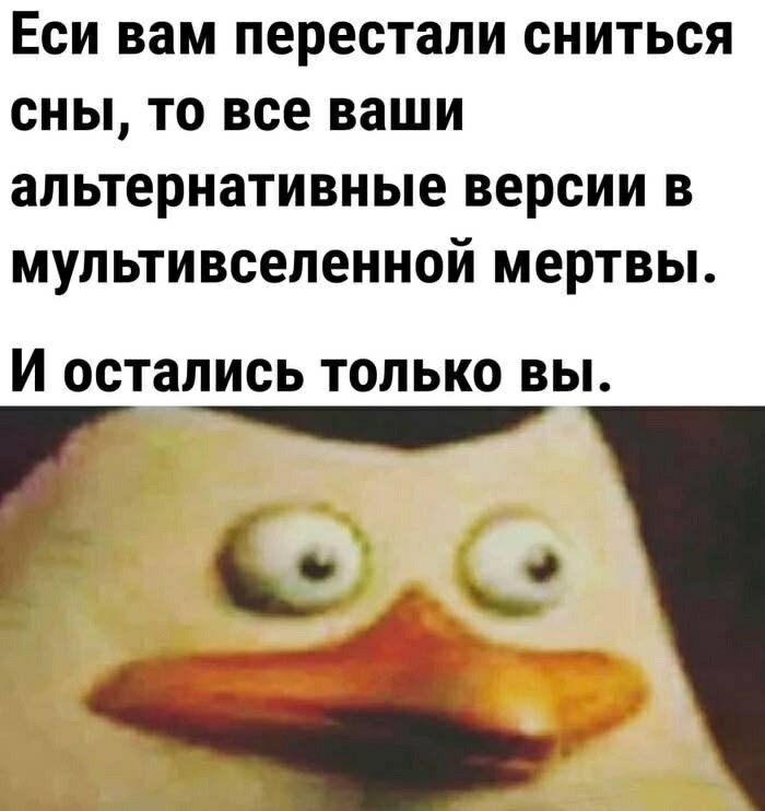  - 3  2025  20:04
