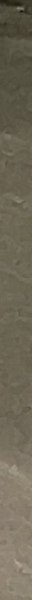 Nikolai, ���������, 19 ���
