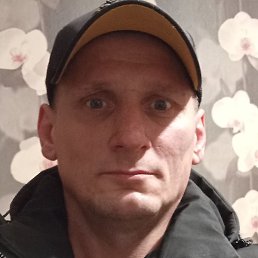 ����, ����, 43 ����