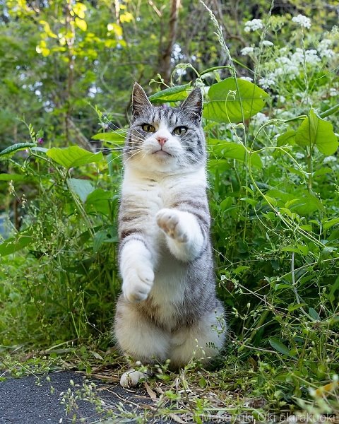��������������� - 4