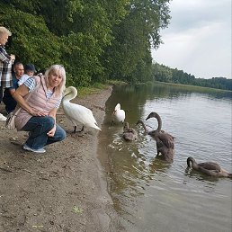 �����, �����������, 56 ���