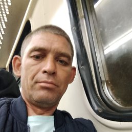 ��������, 42 ����, ������