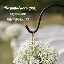 ���� �������, ����, 51 ��� - ��������� 7 ������� 2024