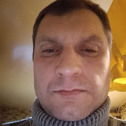 ����, ������, 41 ���