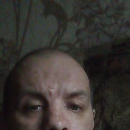  , 42 , 