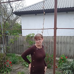 ���� �������, ������������, 48 ��� - ��������� 18 ������ 2025