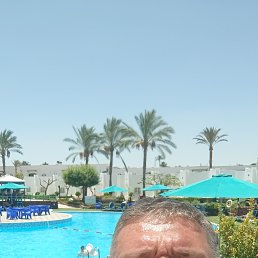 , 56, 