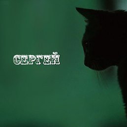 �����, ��������, 40 ���