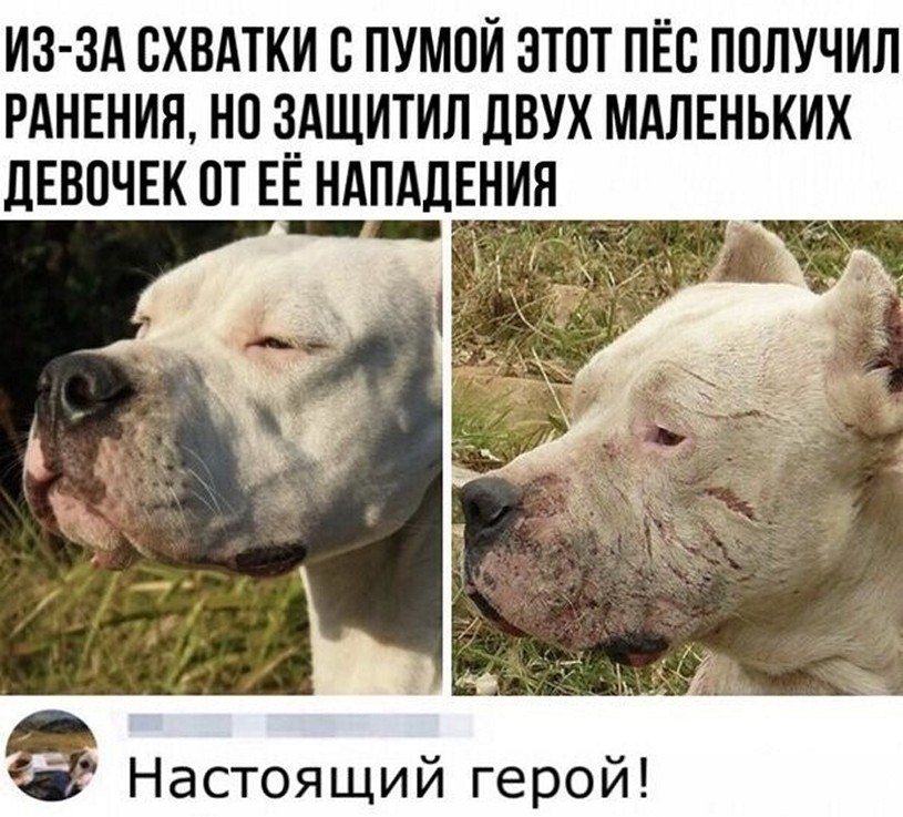 ? ,  ! - 7  2025  16:49