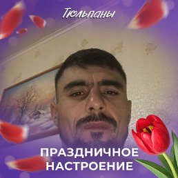 ���� �����, ����, 34 ���� - ��������� 8 ����� 2026