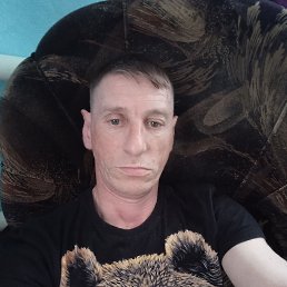 ������, 41 ���, ���������