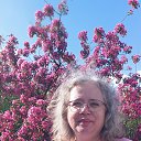 ���� ����, ������, 53 ���� - ��������� 30 ������ 2023 � ������ ���� ����������