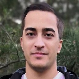 ���������, �������, 33 ����