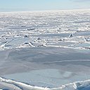 ���� ����, �����������, 62 ���� - ��������� 31 ���� 2026 � ������ ���� ����������
