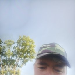 ������ ������� ��������, 48 ���, ����������