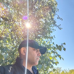  , 43, 