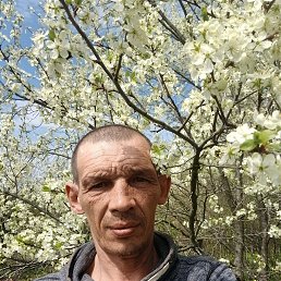 , 41, 