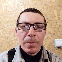 ����, ������, 41 ���