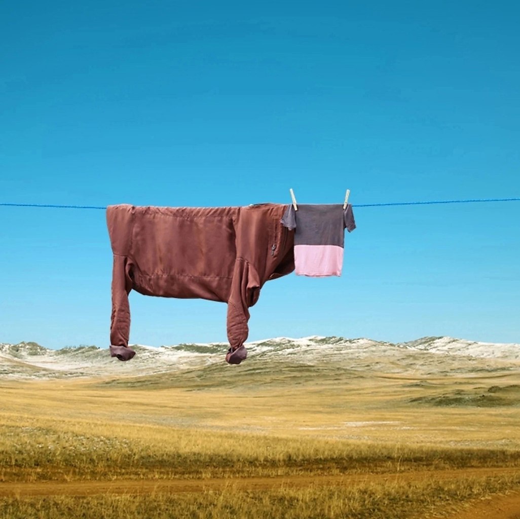      ! - 3