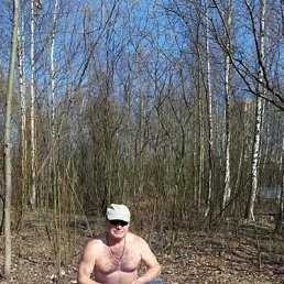, 56 , -