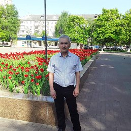 , 55, 