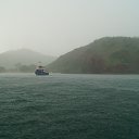 ���� ������, �����������, 56 ��� - ��������� 6 ������ 2024 � ������ ���� ����������