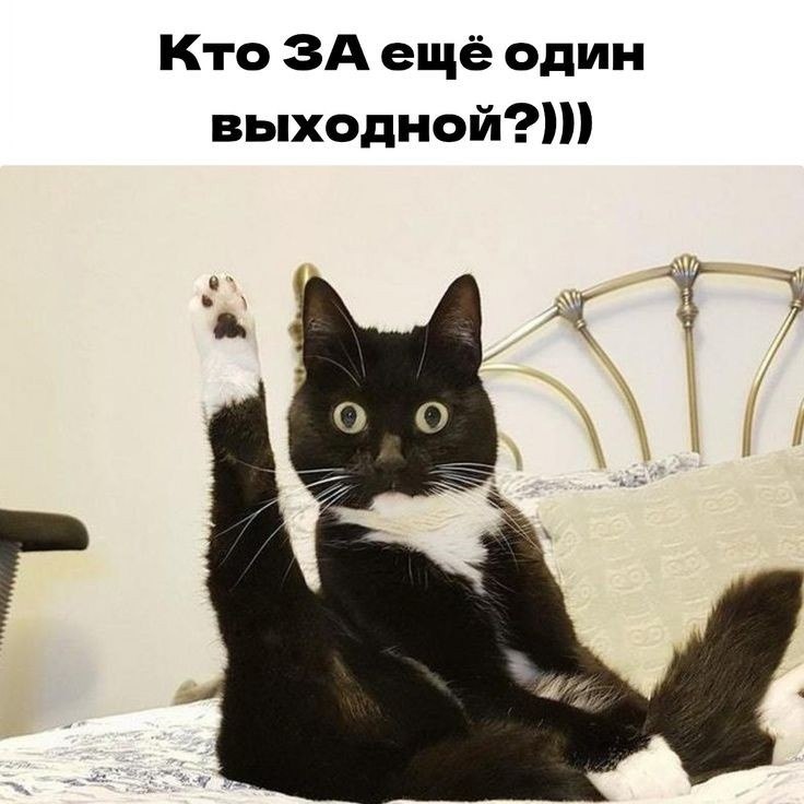  - 19  2024  22:35