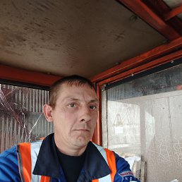 , 37, 